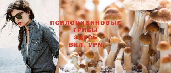 ALPHA-PVP Мегион