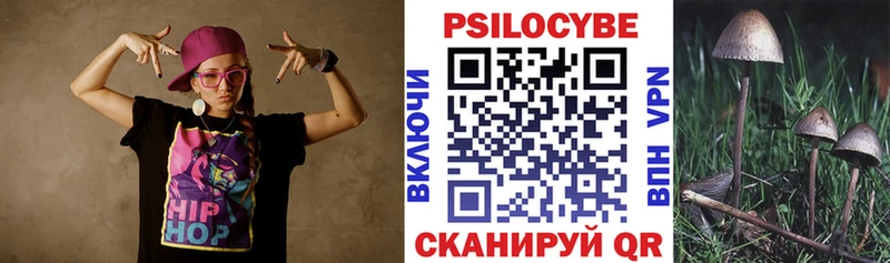 что такое   Томилино  Галлюциногенные грибы Cubensis 